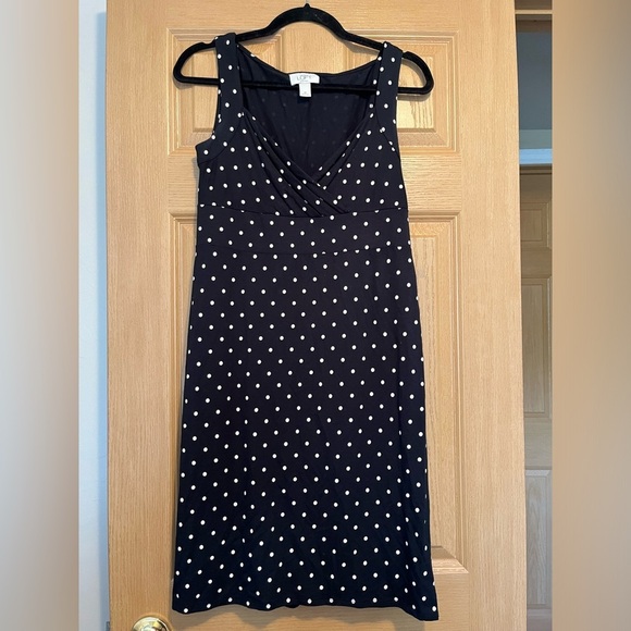 Ann Taylor Polka Dot Navy Dress - Picture 2 of 13